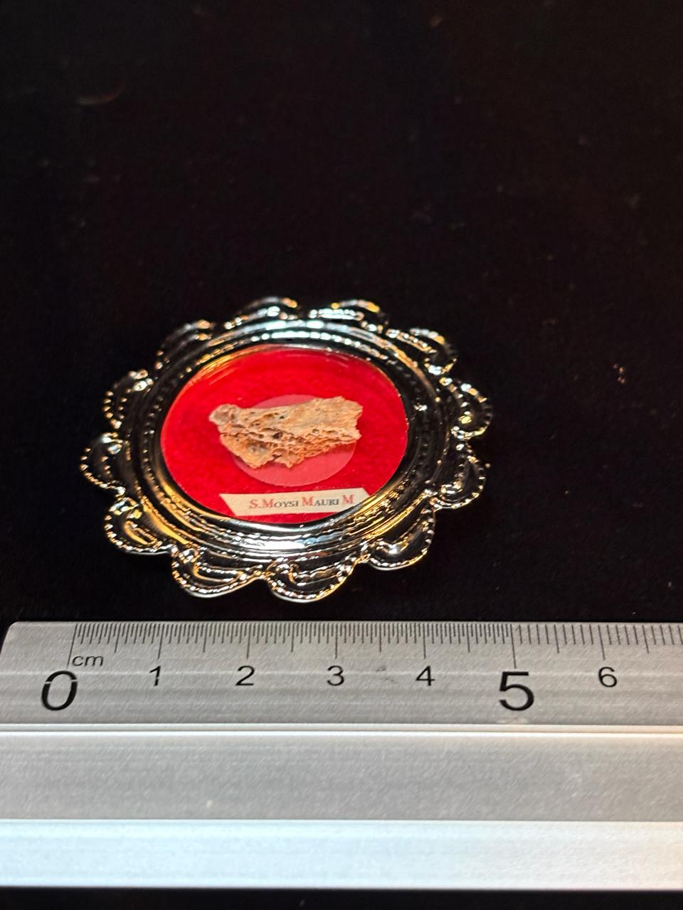 Rare 1st Class Relic of St. Moses the Ethiopian – 5cm Theca with 2009 COA