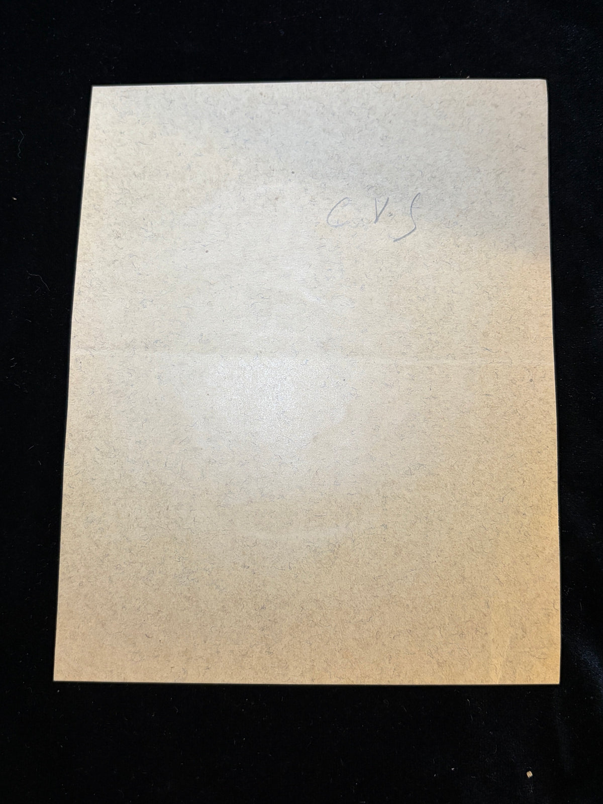 Back of the card mount of the 1879 Lyon confession certificate with old pencil note