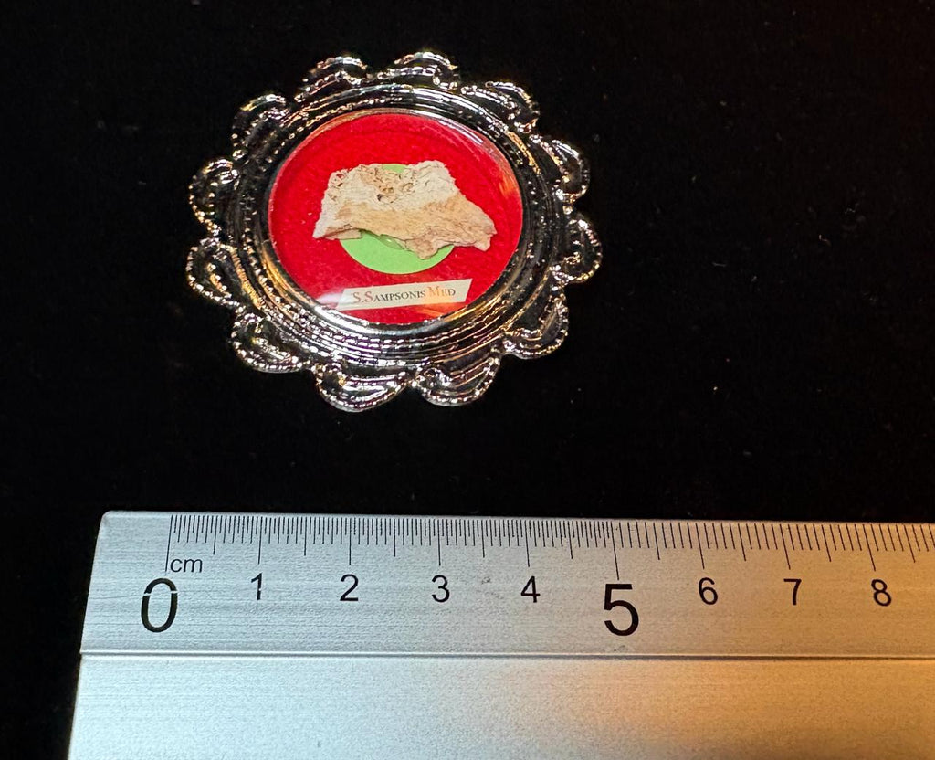 1st Class Relic of Saint Sampson the Hospitable, Bone Relic with COA