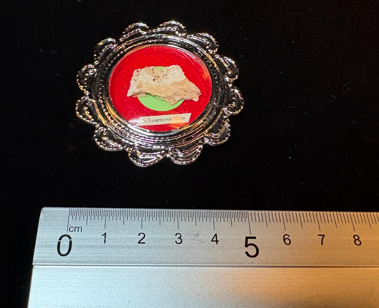 1st Class Relic of Saint Sampson the Hospitable, Bone Relic with COA