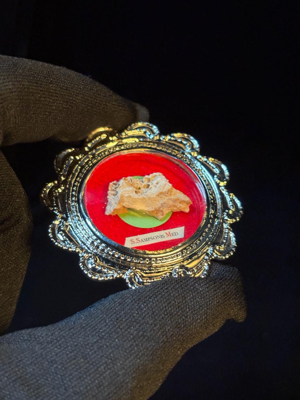 1st Class Relic of Saint Sampson the Hospitable, Bone Relic with COA