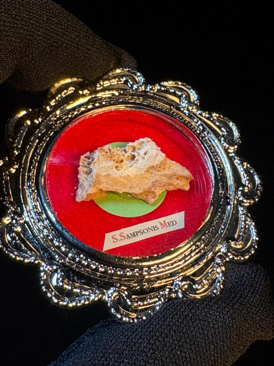 1st Class Relic of Saint Sampson the Hospitable, Bone Relic with COA