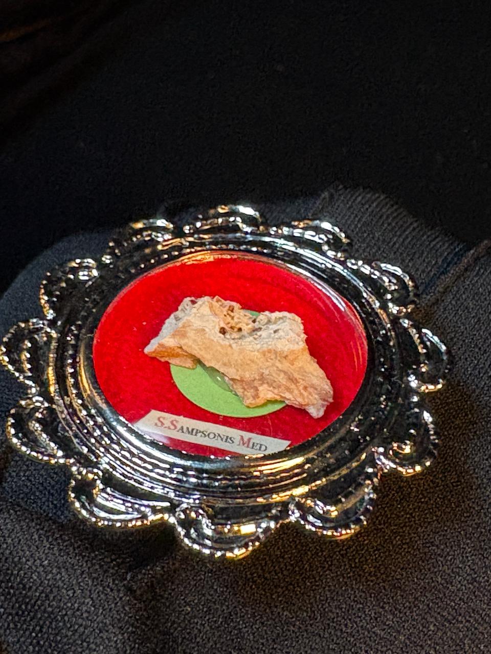 1st Class Relic of Saint Sampson the Hospitable, Bone Relic with COA