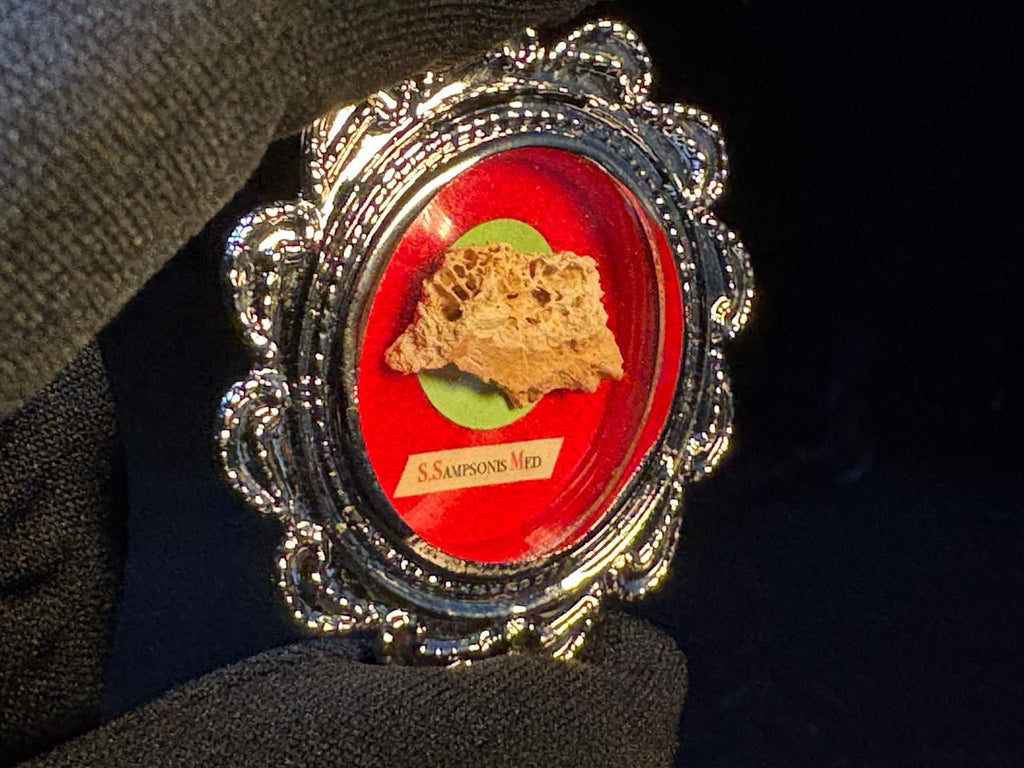 1st Class Relic of Saint Sampson the Hospitable, Bone Relic with COA