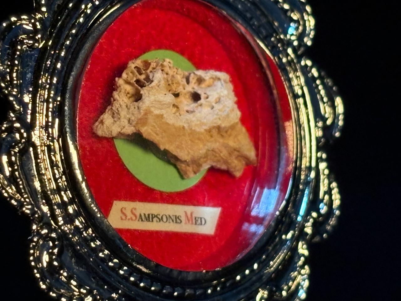 1st Class Relic of Saint Sampson the Hospitable, Bone Relic with COA