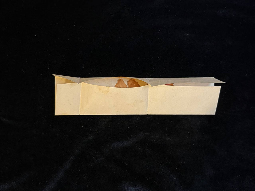 Venerable Ana de San Agustín – Flowers Touched to Her Tomb | Rare Carmelite Devotional Relic