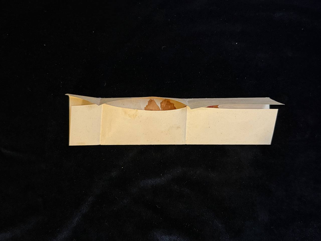 Venerable Ana de San Agustín – Flowers Touched to Her Tomb | Rare Carmelite Devotional Relic