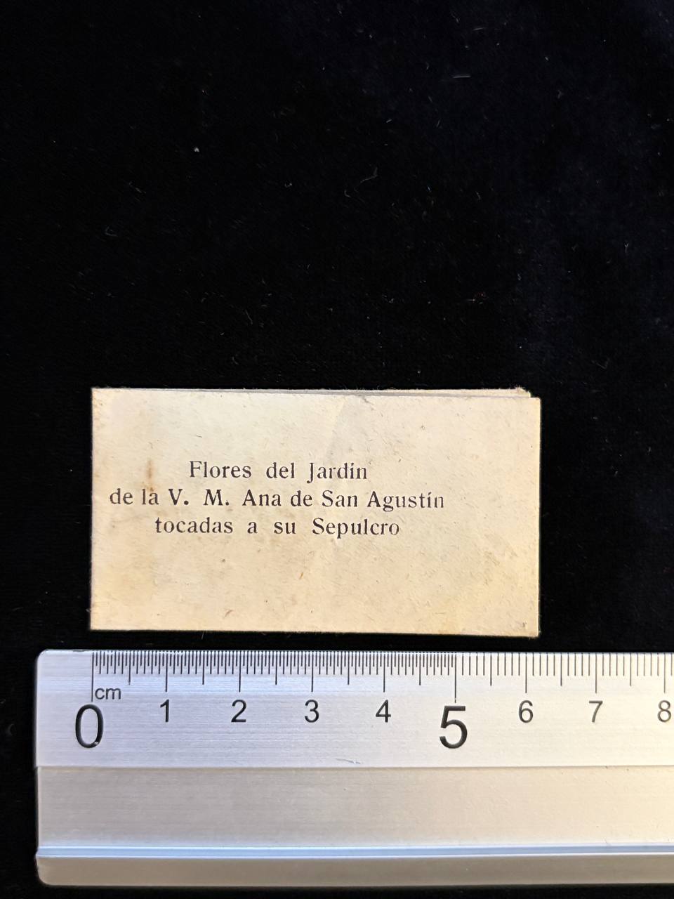 Venerable Ana de San Agustín – Flowers Touched to Her Tomb | Rare Carmelite Devotional Relic