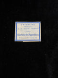 Antique Beauraing Apparition Relic | Aubépine des Apparitions | 1932–1933