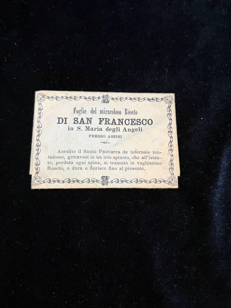 Antique Relic Card of Saint Francis of Assisi | Leaves from the Miraculous Rose Garden | Assisi