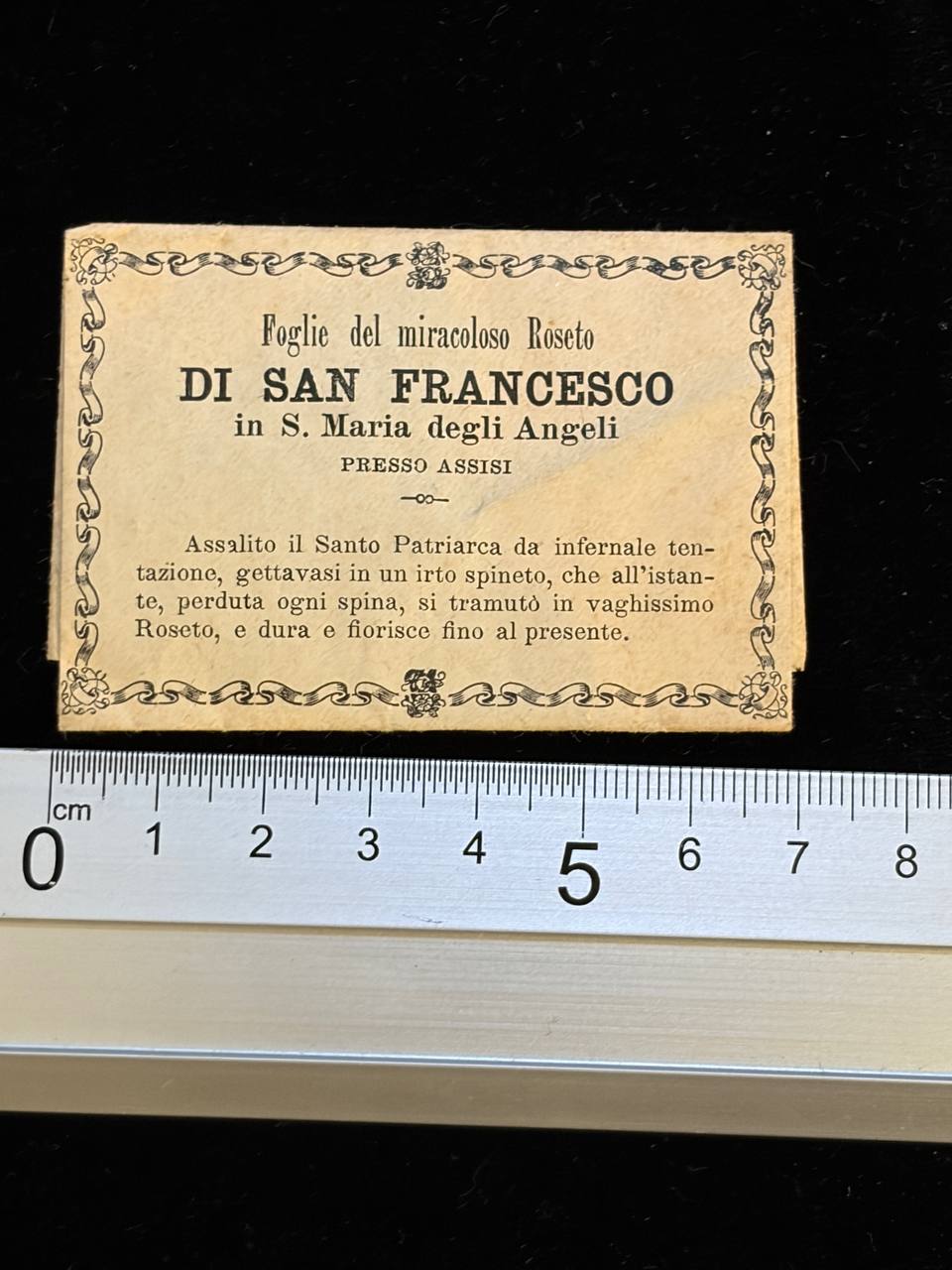 Antique Relic Card of Saint Francis of Assisi | Leaves from the Miraculous Rose Garden | Assisi