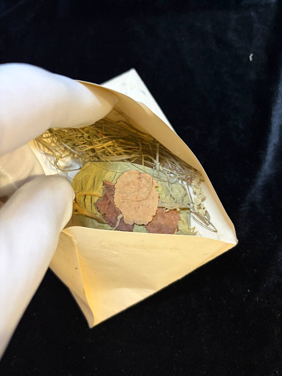 Antique Assisi Devotional Herb | Notre-Dame des Anges Convent | Saint Francis & Porziuncola