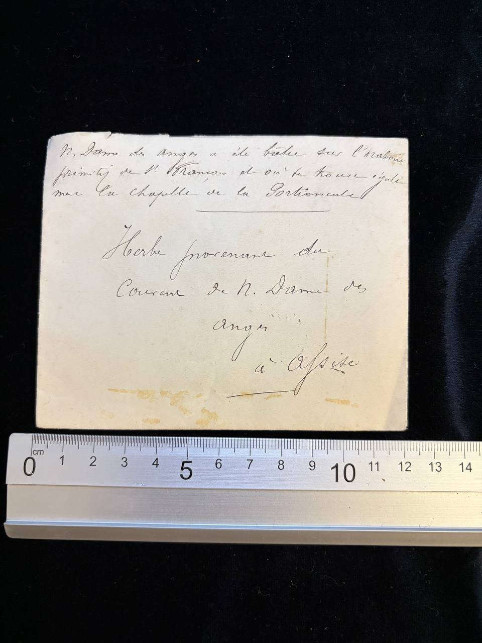 Antique Assisi Devotional Herb | Notre-Dame des Anges Convent | Saint Francis & Porziuncola