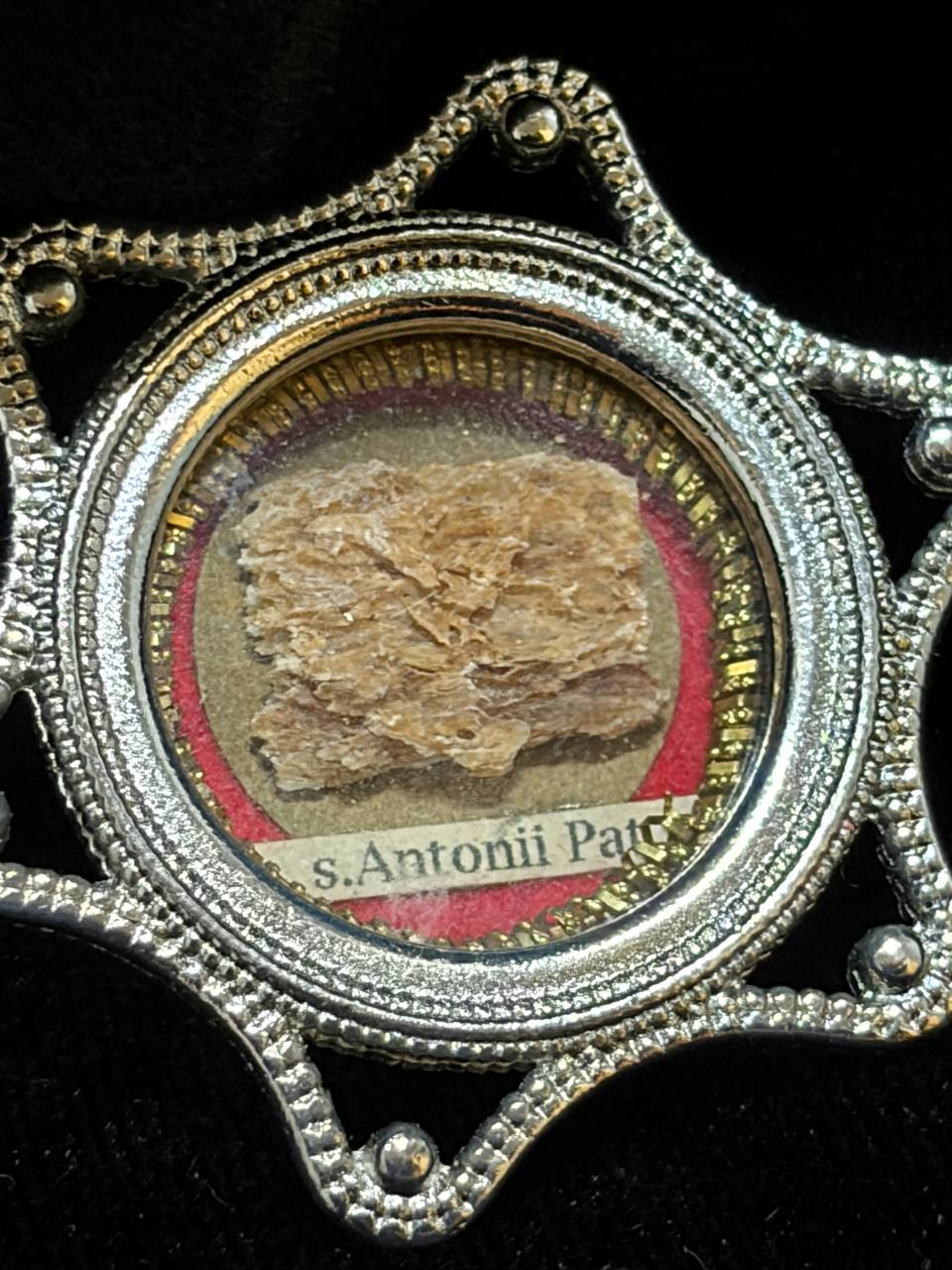 Saint Anthony of Padua relic in a silver star-shaped theca, label S. Antonii Pat., close-up of the relic