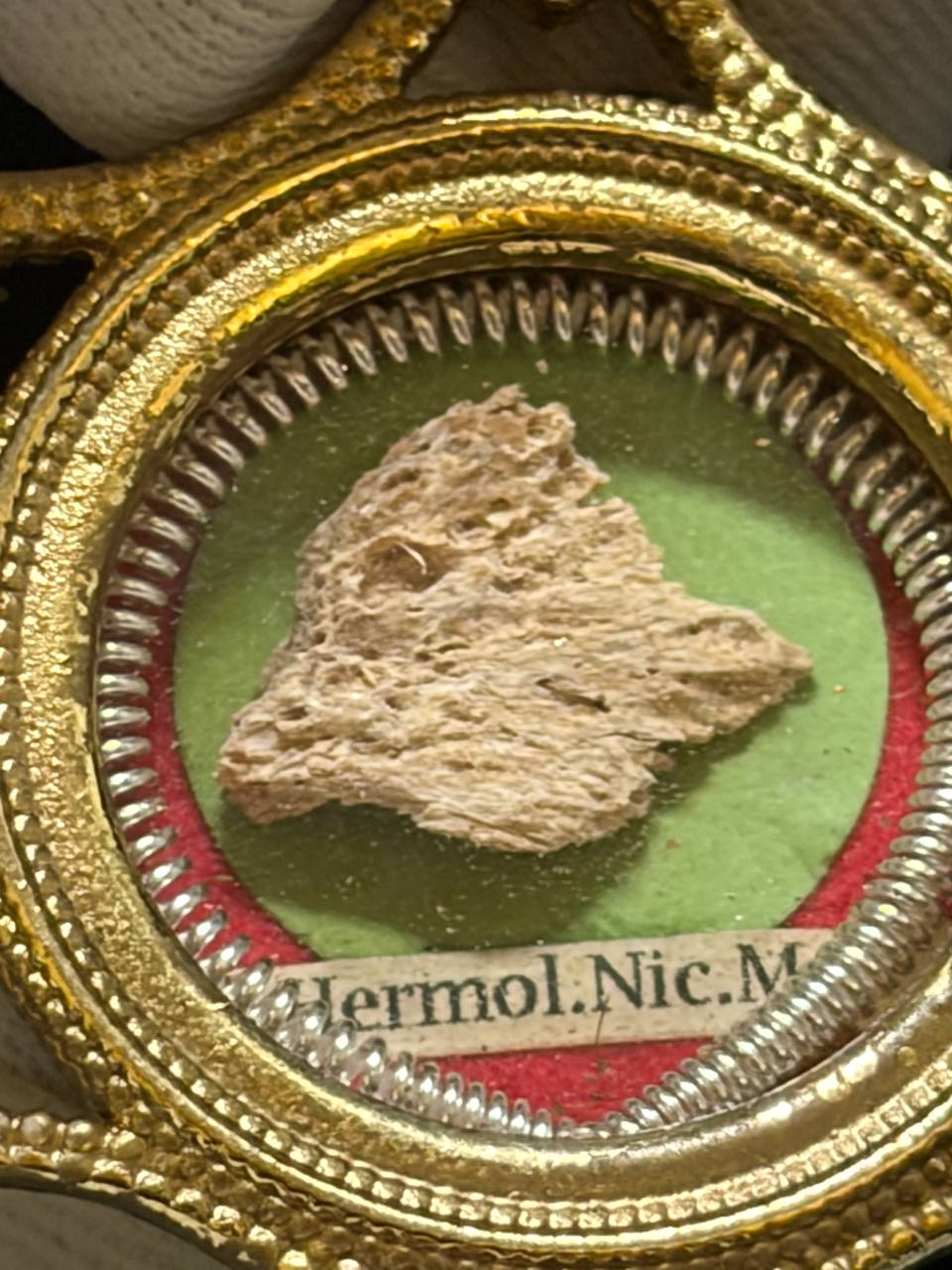 Close-up of the Saint Hermolaus bone fragment and label S. Hermol. Nic. M.